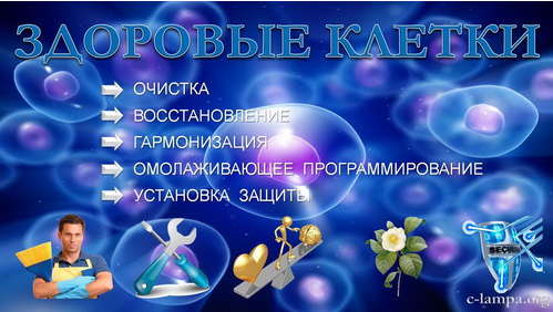 Здоровые клетки - Янгаев (2015)_0.png